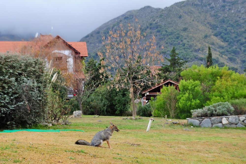 Country Chumamaya – Chalet 262