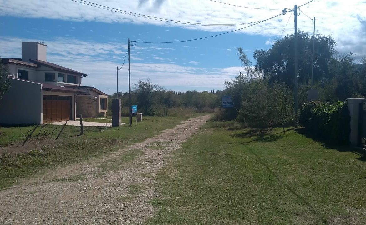 Lote, Merlo