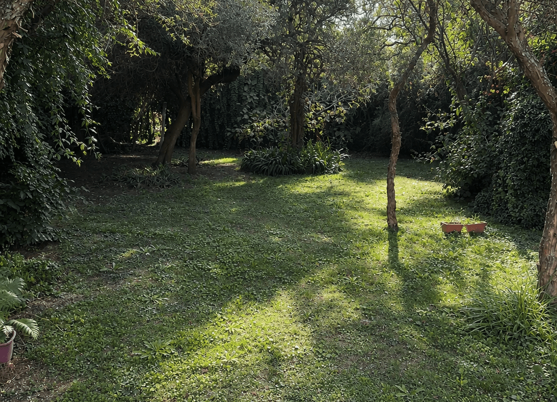 Casa en Venta – Barrio Los Fresnos en Merlo, San Luis