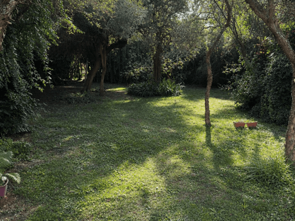 Casa en Venta – Barrio Los Fresnos en Merlo, San Luis