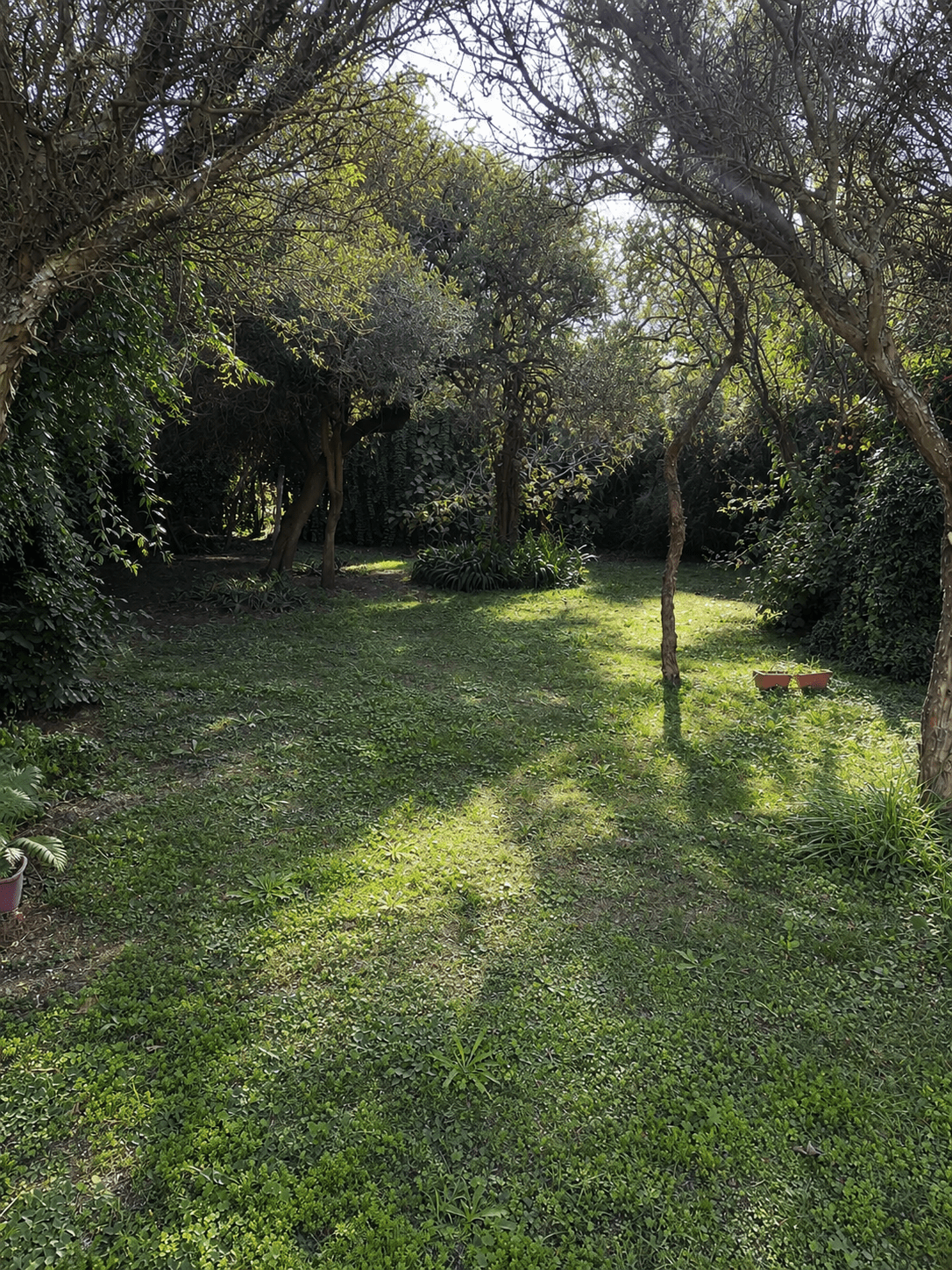 Casa en Venta – Barrio Los Fresnos en Merlo, San Luis