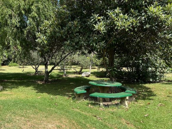 Rincon del este – Tissera