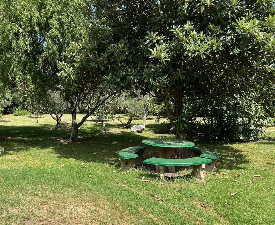 Rincon del este – Tissera