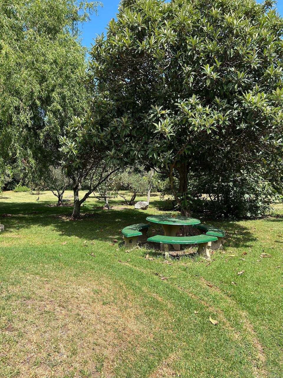 Rincon del este – Tissera