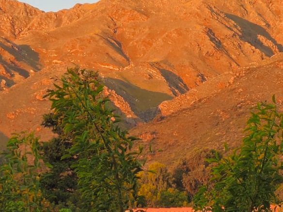 ALQUILER PERMANETE RINCON