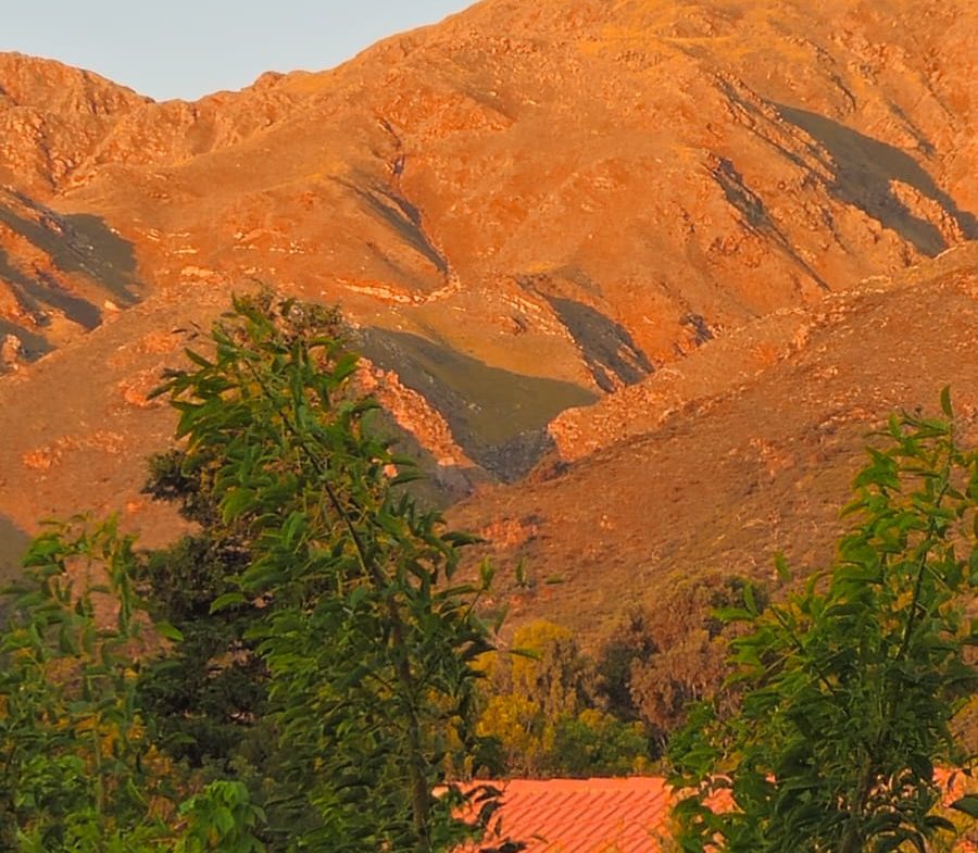 ALQUILER PERMANETE RINCON