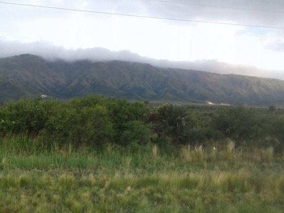Campo, Papagayos – En Venta