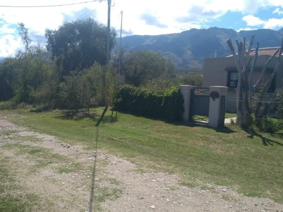 Lote, Merlo