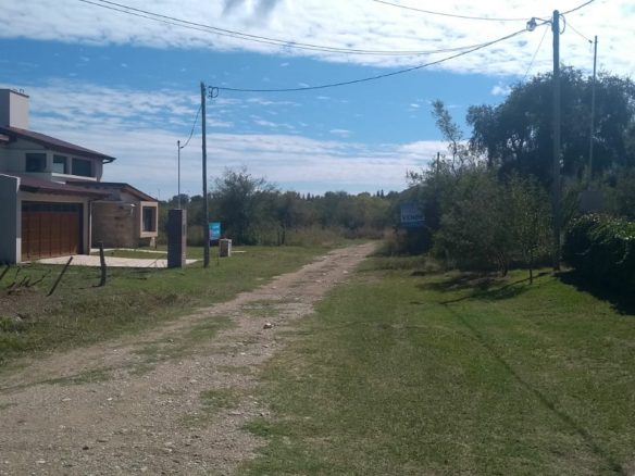 Lote, Merlo