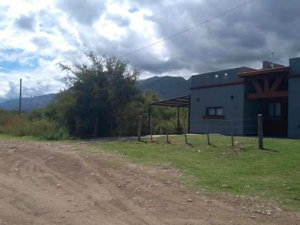 Lote, Merlo