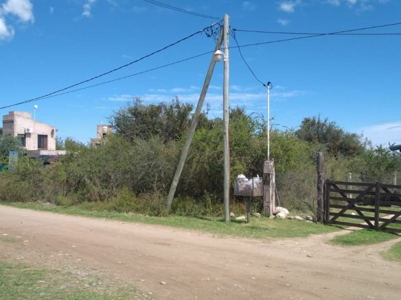 Lote, Merlo