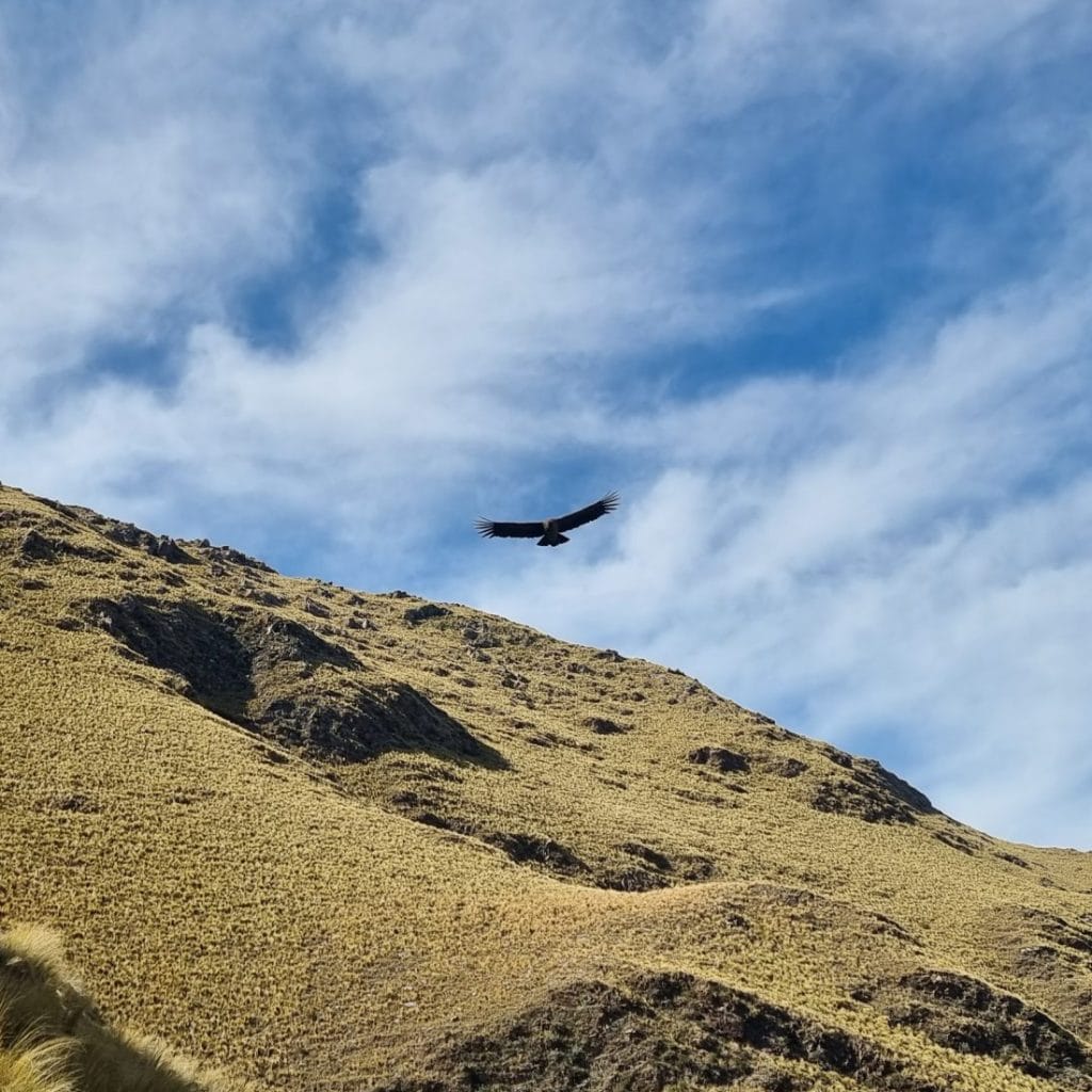 Senderismo, Trekking y Avistajes en Serranías de Chumamaya