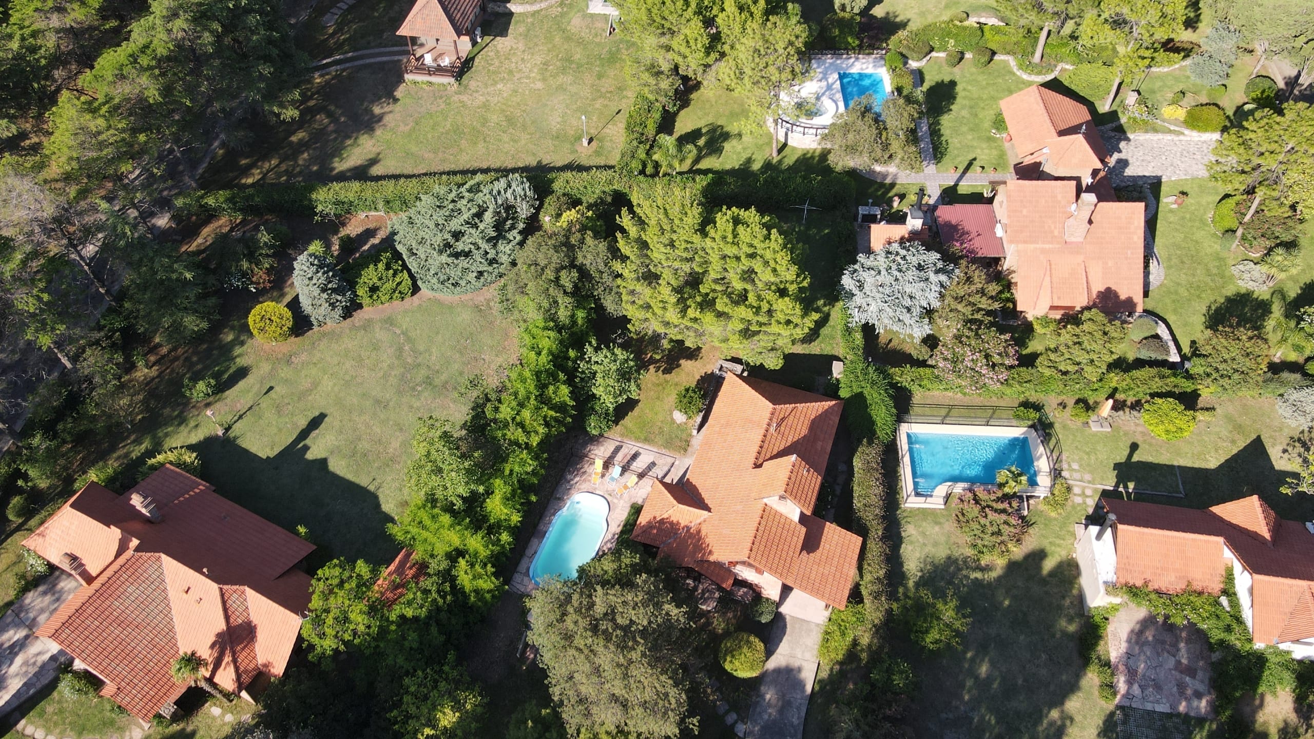 dji fly 20250114 182548 837 1736889993141 photo scaled